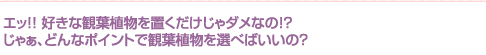 エッ!! 好きな観葉植物を置くだけじゃダメなの!?　じゃぁ、どんなポイントで観葉植物を選べばいいの？