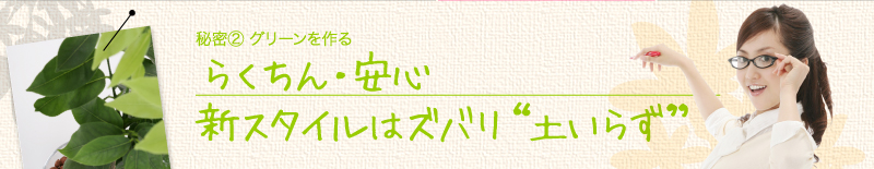秘密②　グリーンを作る　　らくちん・安心　　新スタイルはズバリ“土いらず”