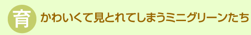 育　かわいくて見とれてしまうミニグリーンたち