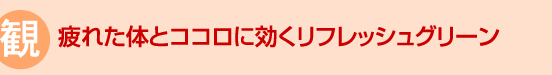 観　疲れた体とココロに効くリフレッシュグリーン