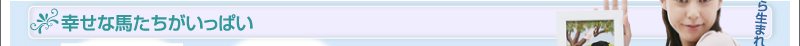 幸せな馬たちがいっぱい