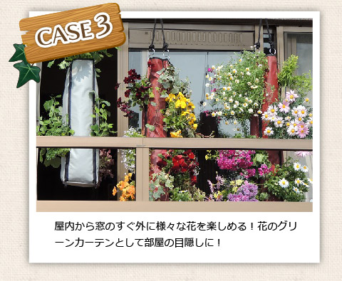 屋内から窓のすぐ外に様々な花を楽しめる！花のグリーンカーテンとして部屋の目隠しに！