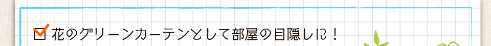 花のグリーンカーテンとして部屋の目隠し