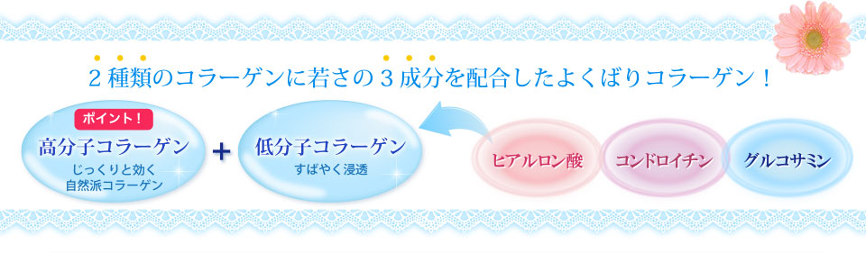 2種類のコラーゲンに若さ3成分を配合したよくばりコラーゲン