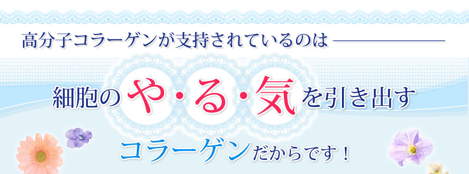 高分子コラーゲンが支持されているのは細胞のや・る・気を引き出すコラーゲンだからです！