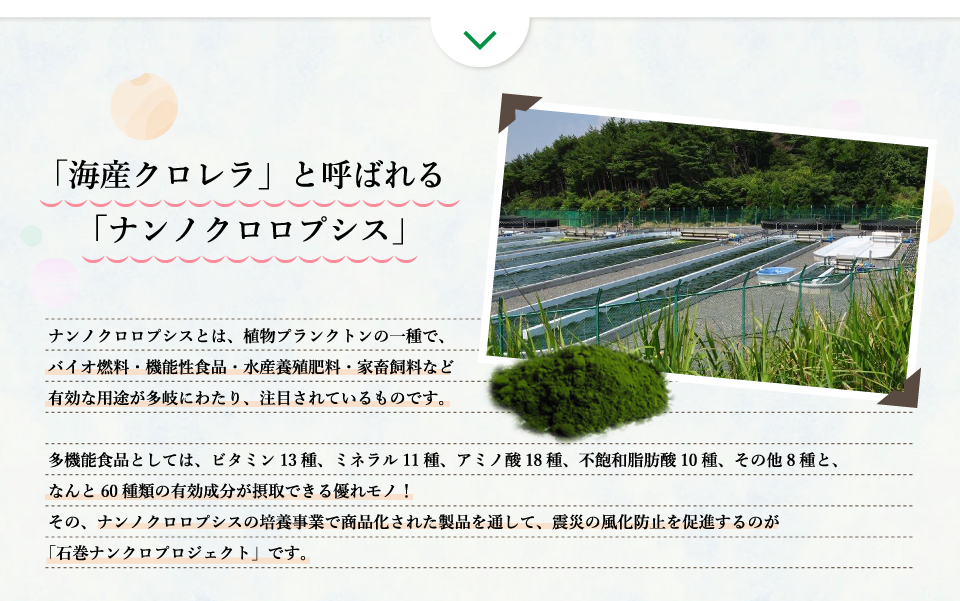 「海産クロレラ」と呼ばれる「ナンノクロロプシス」ナンノクロロプシスとは、植物プランクトンの一種で、バイオ燃料・機能性食品・水産養殖肥料・家畜飼料など有効な用途が多岐にわたり、注目されているものです。多機能食品としては、ビタミン13種、ミネラル11種、アミノ酸18種、不飽和脂肪酸10種、その他8種と、なんと60種類の有効成分が摂取できる優れモノ！その、ナンノクロロプシスの培養事業で商品化された製品を通して、震災の風化防止を促進するのが「石巻ナンクロプロジェクト」です。