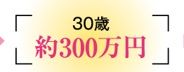 30歳　約300万円