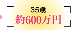 35歳　約600万円