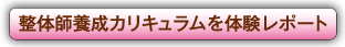 整体師養成カリキュラムを体験レポート