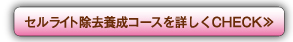 セルライト除去養成コースを詳しくCHECK≫