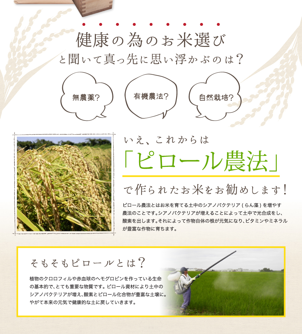 無農薬？有機農法？自然栽培？いえ、これからは「ピロール農法」で作られたお米をお勧めします！ピロールとは？植物のクロロフィルや赤血球のヘモグロビンを作っている生命の基本的で、とても重要な物質です。ピロール資材により土中のシアノバクテリアが増え、酸素とピロール化合物が豊富な土壌に。やがて本来の元気で健康的な土に戻していきます。