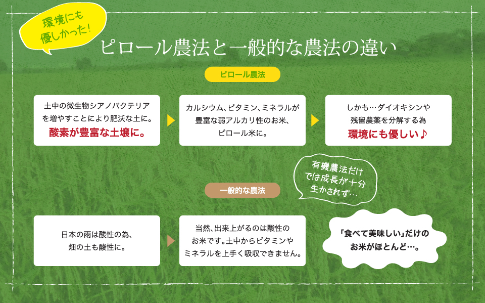 環境にも優しかった！ピロール農法と一般的な農法の違い。ピロール農法の場合。土中の微生物シアノバクテリアを増やすことにより肥沃な土に。酸素が豊富な土壌に。カルシウム、ビタミン、ミネラルが豊富な弱アルカリ性のお米、ピロール米に。しかも…ダイオキシンや残留農薬を分解する為、環境にも優しい♪一般的な農法の場合。日本の雨は酸性の為、畑の土も酸性に。当然、出来上がるのは酸性のお米です。土中からビタミンやミネラルを上手く吸収できません。有機農法だけでは成長が十分生かされず…「食べて美味しい」だけのお米がほとんど…。