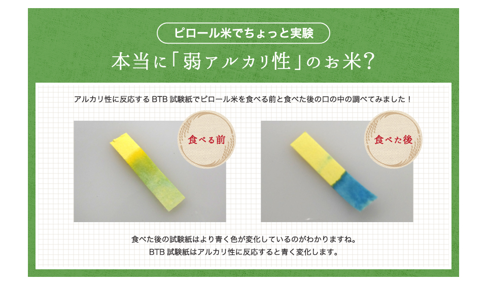 アルカリ性に反応するBTB試験紙でピロール米を食べる前と食べた後の口の中の調べてみました！食べた後の試験紙はより青く色が変化しているのがわかりますね。BTB試験紙はアルカリ性に反応すると青く変化します。