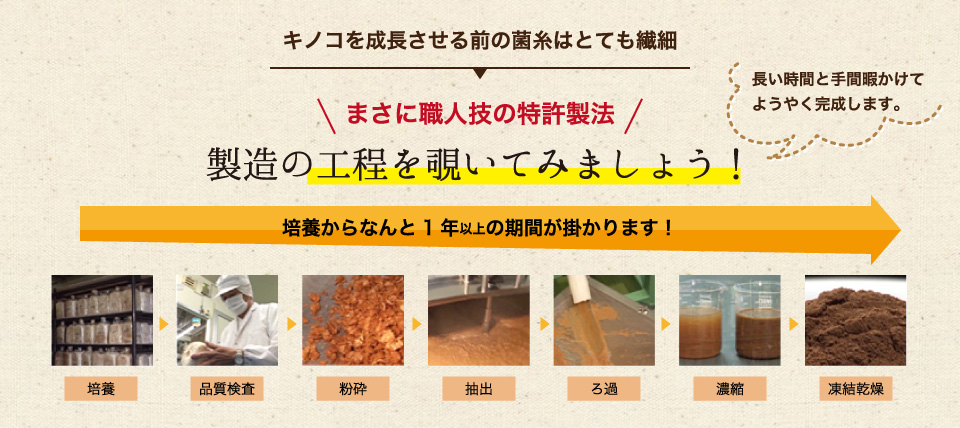 キノコを成長させる前の菌糸はとても繊細まさに職人技の特許製法。製造の工程を覗いてみましょう！