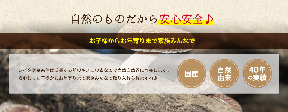 シイタケ菌糸体は成長する前のキノコの素なので当然自然界に存在します。安心してお子様からお年寄りまで家族みんなで取り入れられますね♪