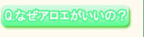 Ｑ．なぜアロエがいいの？