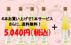 ４本お買い上げで１本サービス。さらに、送料無料！　５０４０円（税込）