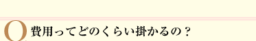 費用ってどのくらい掛かるの？