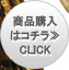 商品詳細＆購入　CLICK！≫