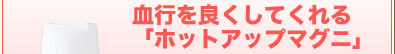 血行を良くしてくれる「ホットアップマグニ」